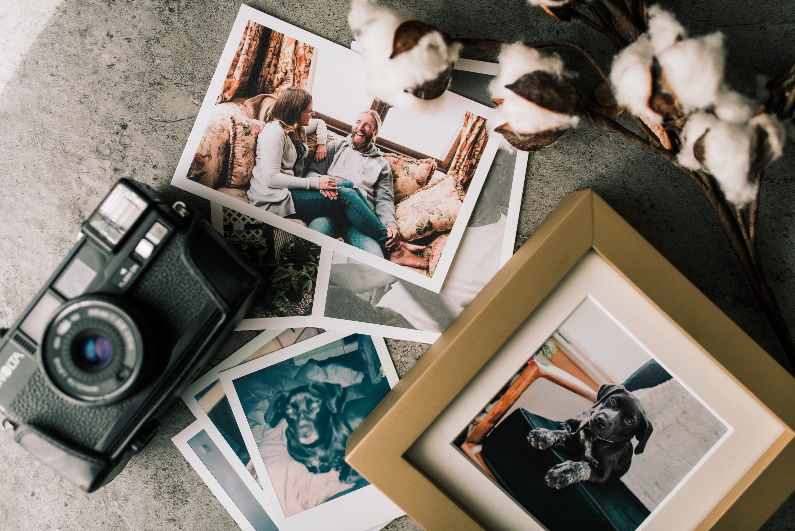 printed and framed photos with vintage camera