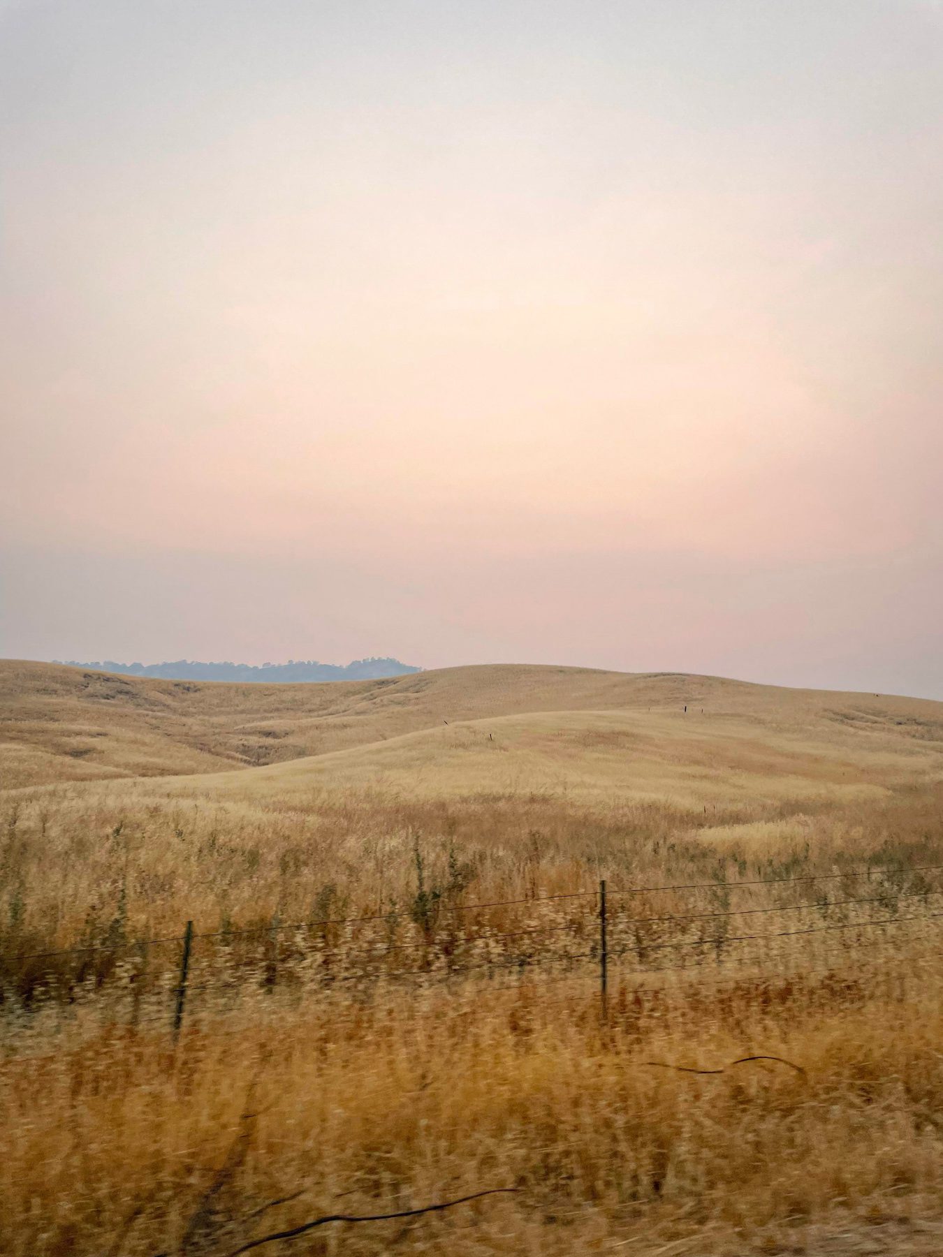 Fields of prairie grass during sunset